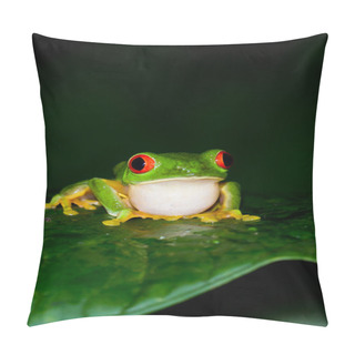 Personality  Red Eyes Tree Frog Pillow Covers