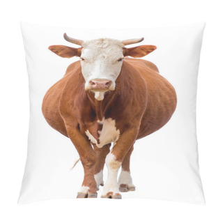 Personality  Cow Isolated On White Pillow Covers