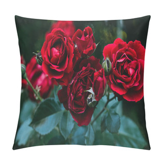 Personality  Close Up View Of Beautiful Red Rose Flowers Pillow Covers