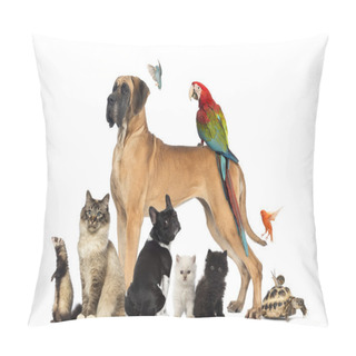 Personality  Group Of Pets - Dog, Cat, Bird, Reptile, Rabbit, Isolated On Whi Pillow Covers