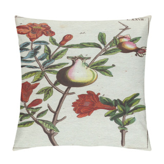 Personality  Pomegranate Plant With Crimson Flowers And Fruit Pillow Covers