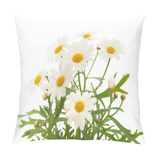 Personality  Marguerite Daisy Pillow Covers