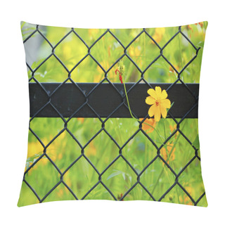 Personality  Wedelia Trilobata Flower On Nets Fence With The Yellow Flower In The Morning On Background Pillow Covers