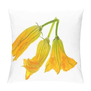 Personality  Yellow Pumpkin And Zucchini Flowers Isolated On White Background Pillow Covers