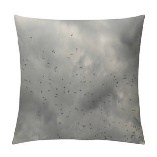 Personality  Black And White Photo Of Many Jackdaws Flying On The Cloudy Sky Pillow Covers