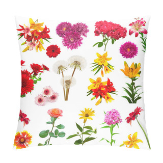 Personality  Collection Of Beautiful Colorful Flowers  Pillow Covers