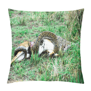 Personality  Python Snake Devouring A Small Gazelle Pillow Covers