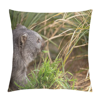 Personality  Beautiful Wombat In The Australian Bush, In A Tasmanian Park. Australian Wildlife In A National Park In Australia Eating Grass Pillow Covers