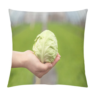 Personality  Female Hand Holding Young Cabbage On Blurred Background Pillow Covers
