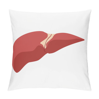 Personality  Realistic Vector Human Liver, Isolated On White Background Pillow Covers