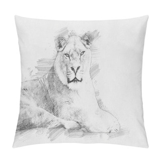 Personality  Lion. Sketch With Pencil Pillow Covers