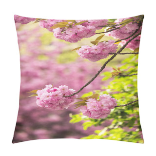 Personality  Pink Flowers Of Sakura Branches Above Grass Pillow Covers