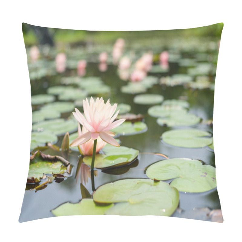 Personality  Water Lilies in river water pillow covers