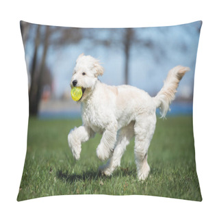 Personality  Happy Labradoodle Dog Playing In The Park In Summer Pillow Covers