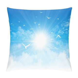 Personality  Freedom Flight Pillow Covers