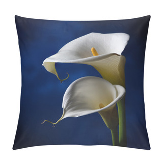 Personality  Lilly On The Dark Blue Background Pillow Covers