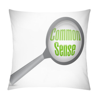 Personality  Common Sense Magnify Search Pillow Covers