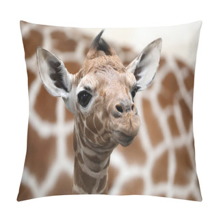 Personality  Baby Giraffe With Mother In Wild Nature Pillow Covers