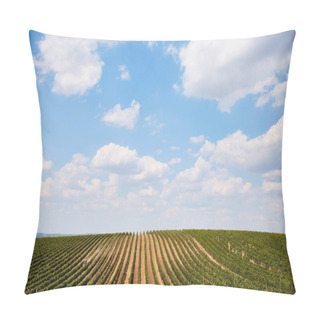 Personality  Field Pillow Covers