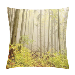 Personality  Misty Autumn Woods Pillow Covers