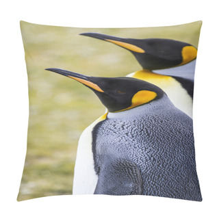 Personality  King Penguin In Bluff Cove, Falkland Islands Pillow Covers