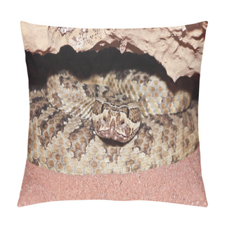 Personality  A Massasauga Rattler Coiled In Its Den Pillow Covers