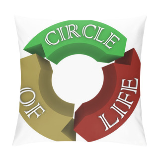 Personality  Circle Of Life Arrows In Circular Cycle Showing Connections Pillow Covers