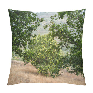 Personality  Among The Foliage, A Chestnut Tree In The Background With Hedgehogs Growing On An Autumn Day Pillow Covers