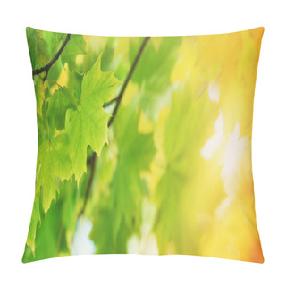 Personality  Yellow Maple Leaves In Autumn With Beautiful Sunlight Pillow Covers