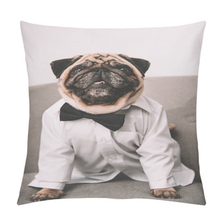 Personality  Stylish Pug Pillow Covers