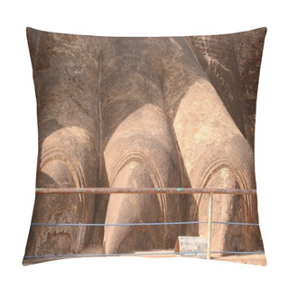 Personality  Sigiriya Lion Paw Pillow Covers