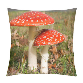 Personality  Two Agaric Mushrooms Pillow Covers