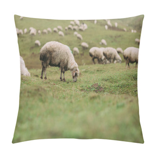 Personality  Herd Of Sheep Grazing In The Mountains Pillow Covers