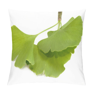 Personality  Ginkgo Pillow Covers