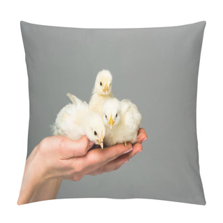 Personality  Partial View Of Woman Holding Cute Little Chicks In Hands Isolated On Grey Pillow Covers
