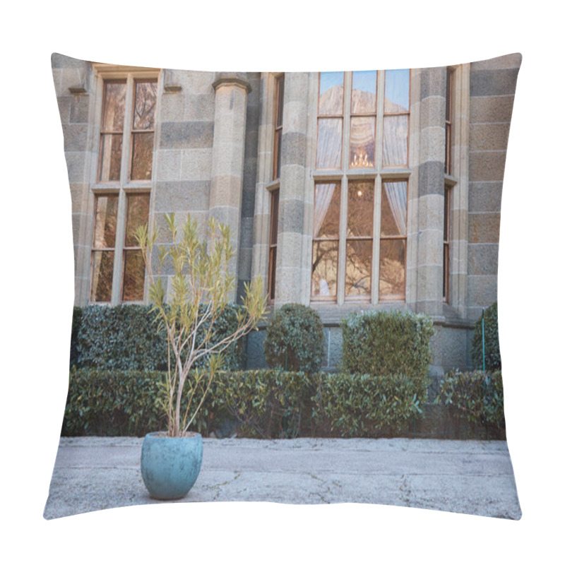 Personality  tropical potted stone plant, medieval castle palace, stone road, courtyard in the palace pillow covers