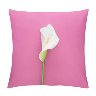 Personality  Beautiful White Calla Lily With Green Stem On Pink Background Pillow Covers