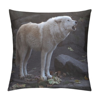 Personality  Howling White Wolf Pillow Covers
