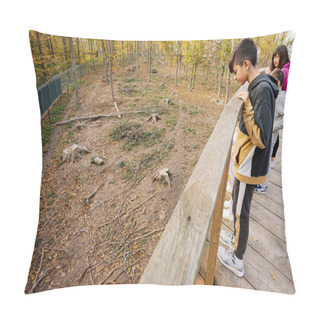 Personality Boy Looking At Wild Animals From Wooden Bridge. Pillow Covers