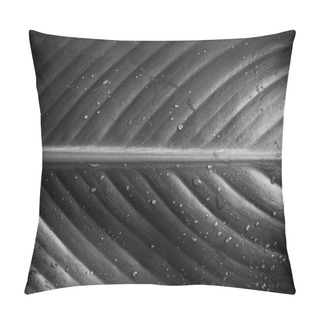 Personality  Green Leaf Droplets Pillow Covers