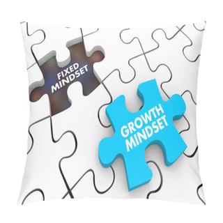 Personality  Fixed Vs Growth Mindset Puzzle Pieces 3d Illustration Pillow Covers