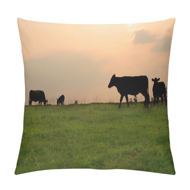 Personality  Silhouetter of Cows pillow covers