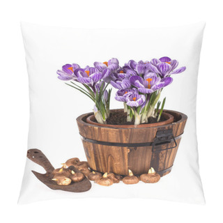 Personality  Crocuses In Pot, Old Trowel And Bulbs  Pillow Covers
