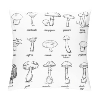 Personality  Vector Set Of Sketch Illustration - Mushrooms Pillow Covers