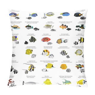 Personality  Marine Fish Pillow Covers