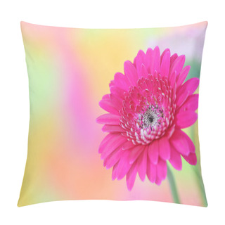Personality  Pink Gerbera Pillow Covers