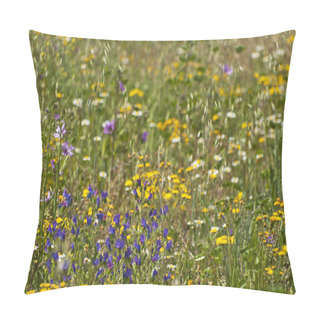 Personality  Wildflowers Field On Springtime In Salamanca, Spain Pillow Covers