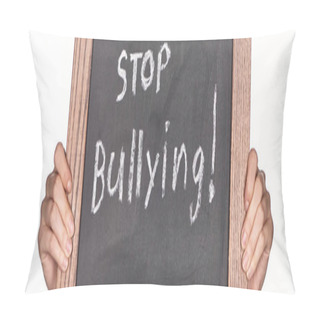 Personality  Panoramic Shot Of Girl Holding Chalkboard In Wooden Frame With Stop Bullying Lettering Isolated On White Pillow Covers