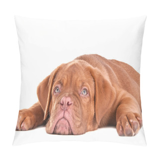Personality  Cute Puppy On White Background Pillow Covers