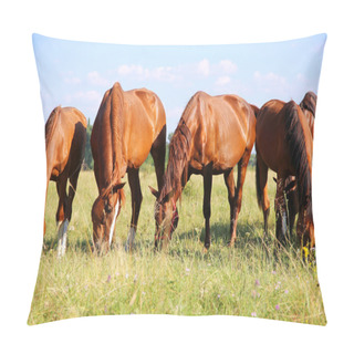 Personality  Young Anglo Arabian Mares And Foals Grazing On The Meadow Summertime Pillow Covers